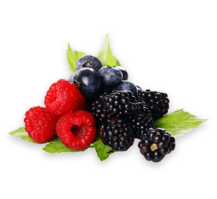 Fresh Berries